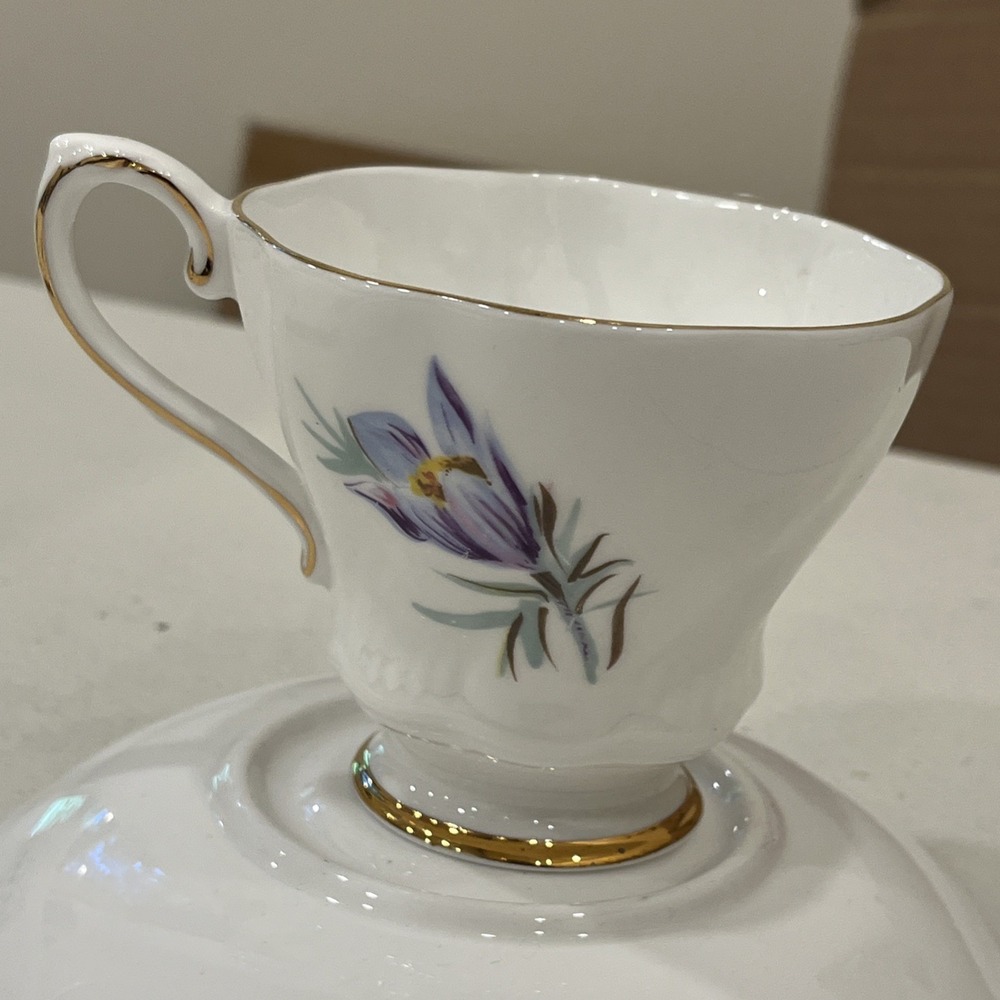 Royal Grafton Fine Bone China cup & saucer MANITOBA CROCUS c.1957+ Purple - Picture 6 of 8